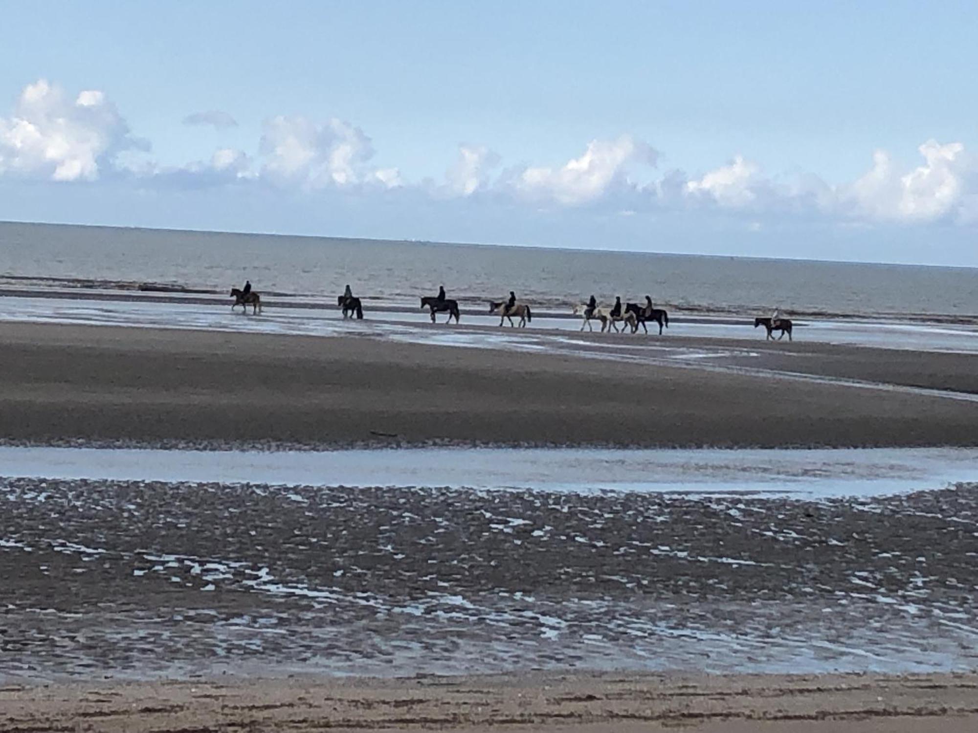 Charming Flat Middle Of Trouville, 150m From Trouville-sur-Mer